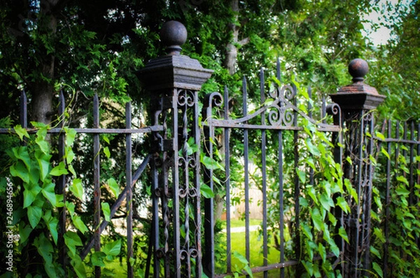 Fototapeta The old gate