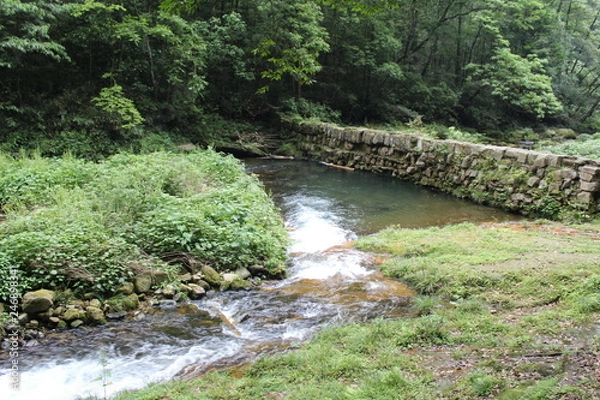 Obraz river in the forest