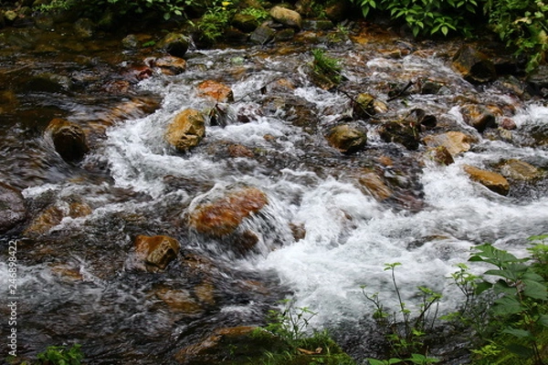 Obraz stream in forest