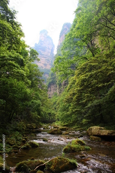 Obraz waterfall in forest