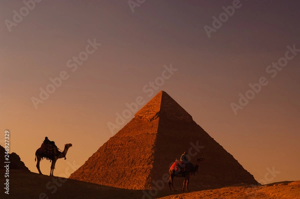 Obraz ピラミッドと駱駝