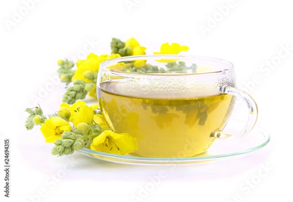 Obraz Tee Königskerze - tea mullein 01