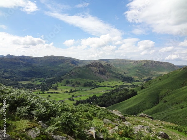 Obraz カントリー