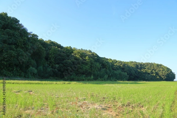 Fototapeta 爽やかに晴れた秋の里山