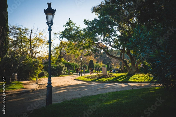Fototapeta Barcelona, Spain - 24.11.2018: Beautiful day in Ciutadella Park, view of a path with green trees