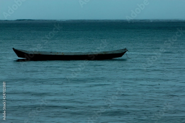Obraz natureza; arvores; praia