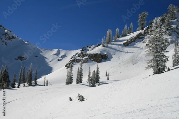 Obraz ski resort fresh tracks