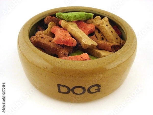 Obraz dog treats