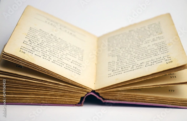 Obraz Open book pages