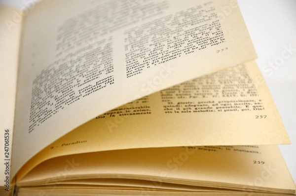 Obraz Open book pages