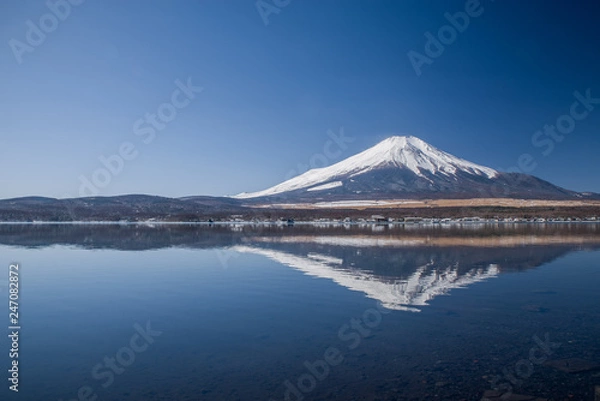 Fototapeta 山中湖と富士山（冬）