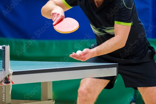 Fototapeta Table tennis player serving, close-up