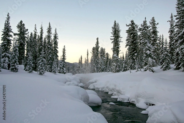 Obraz winter wonderland