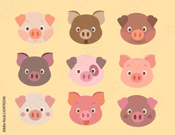 Fototapeta emotion of pig face 