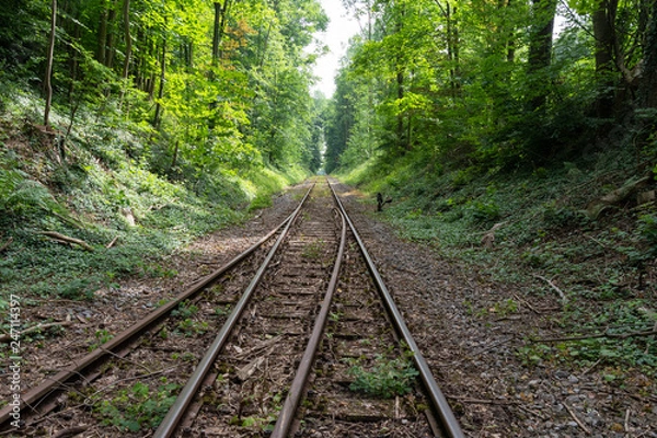 Fototapeta The railroad in a forest ,Germany