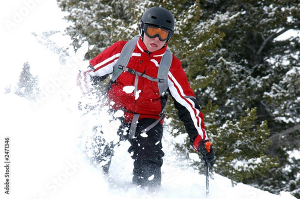Obraz fresh powder skiing