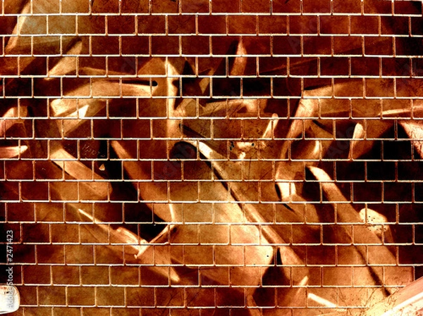 Obraz graffiti wall