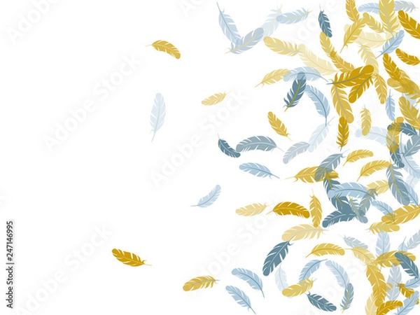 Fototapeta Flying feather elements airy vector design.