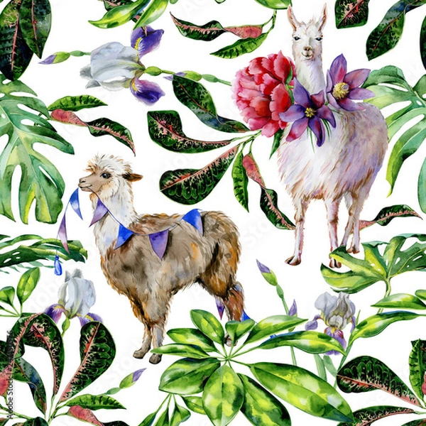 Fototapeta Watercolor seamless tropical pattern of  alpaca with flags and cartoon llama with pasque-flower, peony illustration. Exotic leaves of schefflera, croton, monstera. Use as wallpaper, wrapping paper.