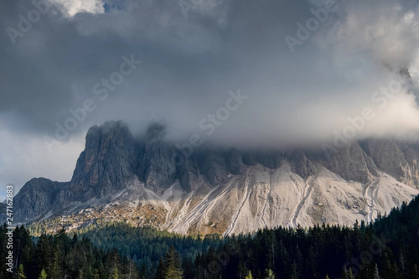 Fototapeta Geissler 1