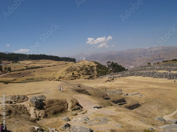 Fototapeta OLYMPUS DIGITAL CAMERA