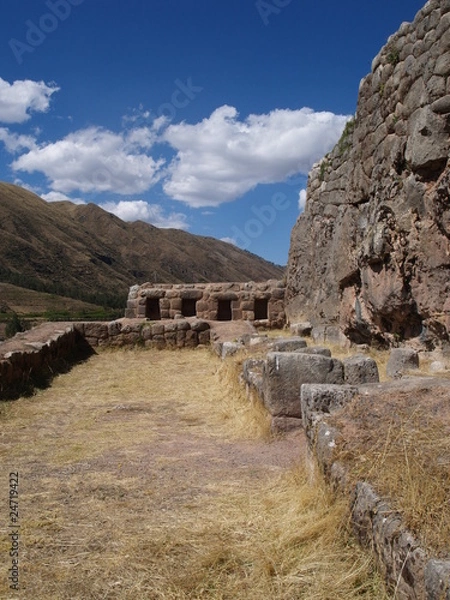 Fototapeta OLYMPUS DIGITAL CAMERA