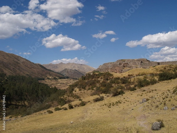 Fototapeta OLYMPUS DIGITAL CAMERA