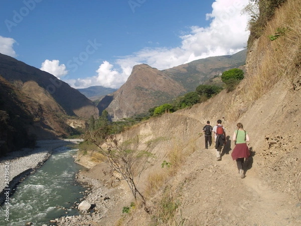 Fototapeta OLYMPUS DIGITAL CAMERA