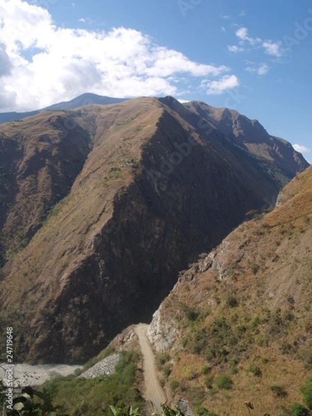 Fototapeta OLYMPUS DIGITAL CAMERA