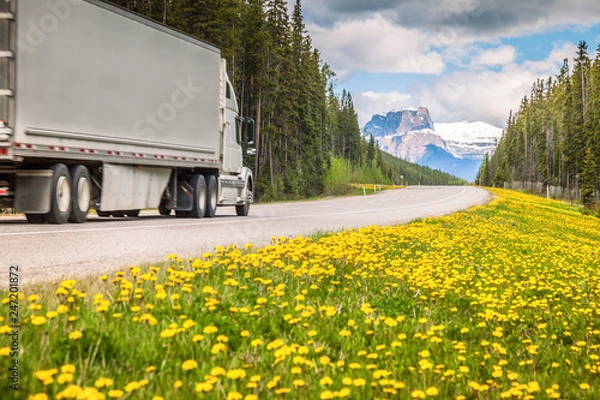 Fototapeta Highway in Jasper National Park