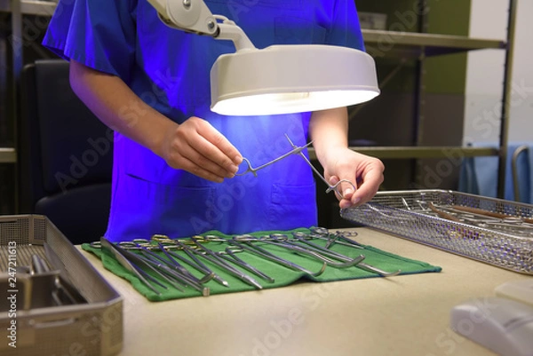 Fototapeta A young woman works in a hospital as a  medical hygiene worker. She is dressed  in special medical hygiene clothing and  carries out hygiene disinfecting and logistic tasks.