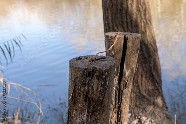 Obraz old boat on lake