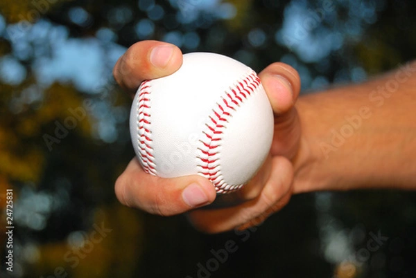 Obraz Player Gripping a New Baseball and throws the ball on defense