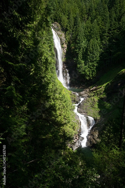 Fototapeta waterfall in forest