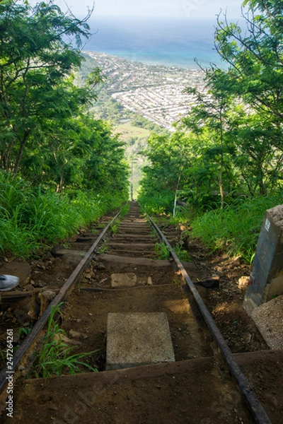 Fototapeta railway in forest