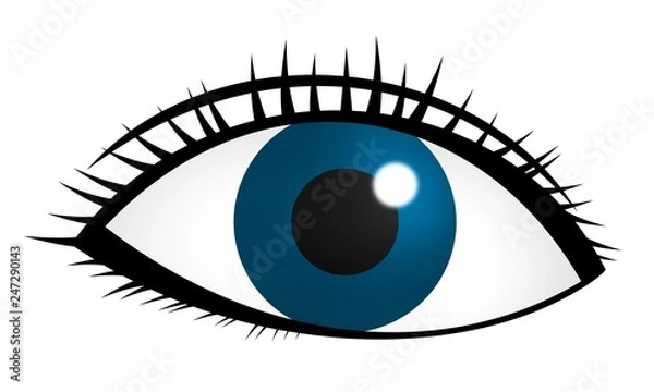 Fototapeta 青い瞳