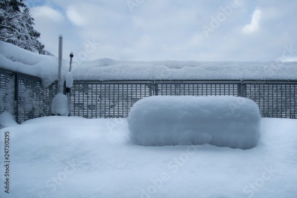 Obraz New Snowfall Overnight