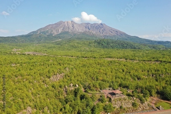 Obraz 桜島の溶岩遊歩道