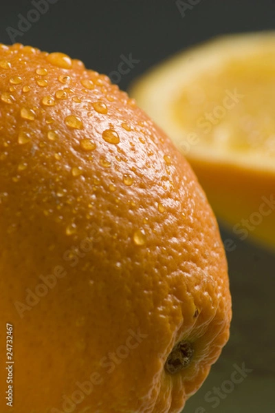 Obraz orange
