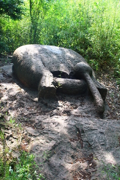 Obraz turtle on a rock