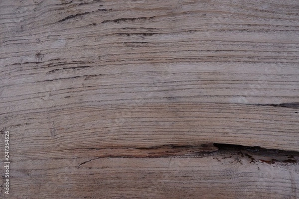 Fototapeta Old wood natural texture pattern background.