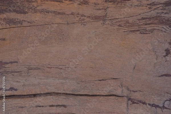 Obraz Old wood natural texture pattern background.