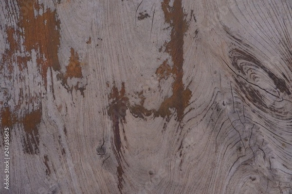 Fototapeta Old wood natural texture pattern background.