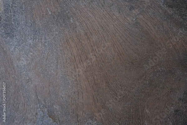 Obraz Old wood natural texture pattern background.