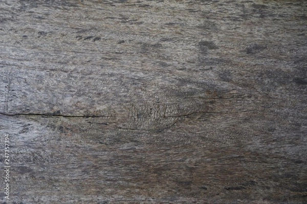 Obraz Old wood natural texture pattern background.