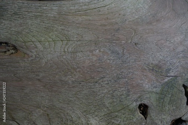 Obraz Old wood natural texture pattern background.