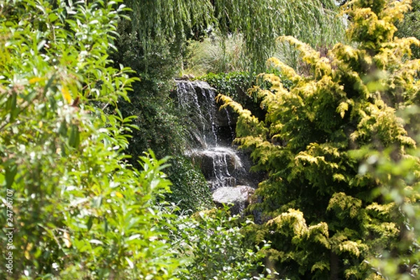 Fototapeta waterfall falling among trees