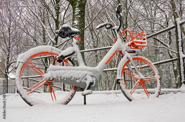 Fototapeta Orange bicycle, partly covered with snow, on a cold day, parked at The Park in Rotterdam