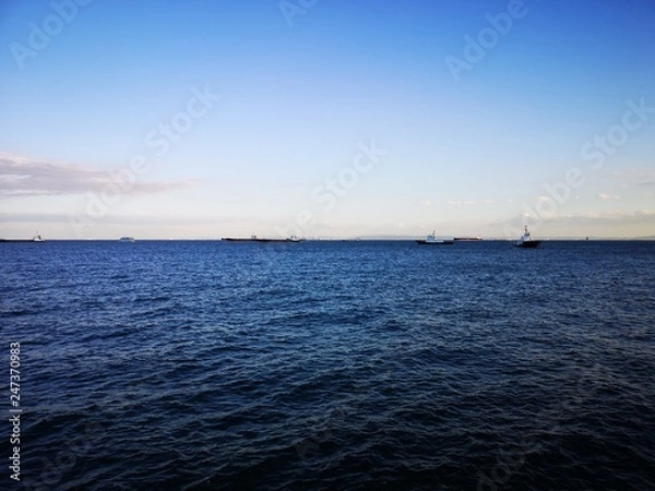 Fototapeta 横浜埠頭の公園