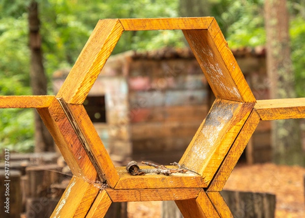 Obraz Man-made Honeycomb